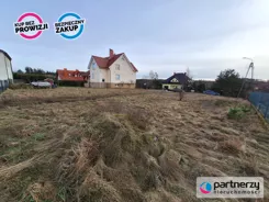 PAN448886 - zdjęcie nr 4