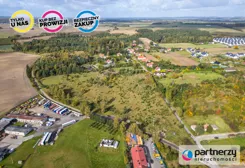 PAN866056 - zdjęcie nr 2