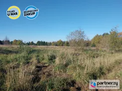 PAN697144 - zdjęcie nr 4