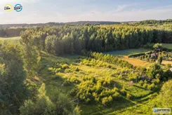 PAN669929 - zdjęcie nr 3