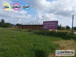 PAN689838 - zdjęcie nr 3