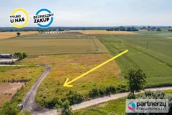 PAN932814 - zdjęcie nr 3