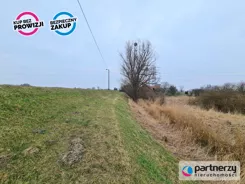 PAN827328273 - zdjęcie nr 2