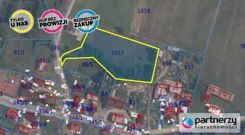 PAN286312 - zdjęcie nr 1