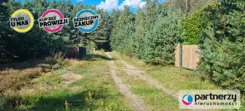 PAN660544 - zdjęcie nr 0