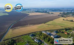 PAN848916 - zdjęcie nr 3