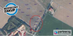PAN251355 - zdjęcie nr 0
