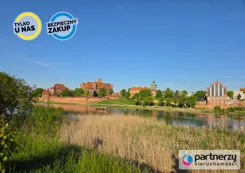 PAN963096 - zdjęcie nr 4