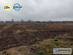 PAN114521 - zdjęcie nr 1