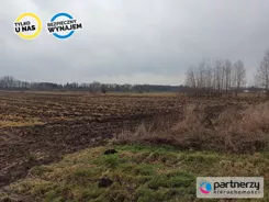 PAN114521 - zdjęcie nr 2