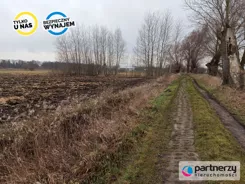 PAN114521 - zdjęcie nr 3