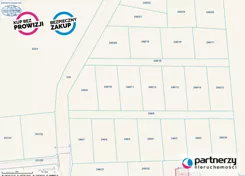 PAN436175 - zdjęcie nr 3