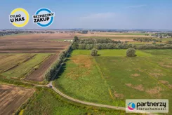 PAN102320 - zdjęcie nr 1