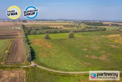 PAN102320 - zdjęcie nr 2