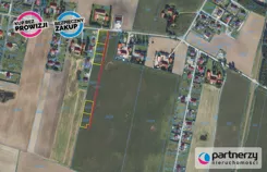 PAN495184 - zdjęcie nr 1