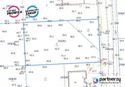 PAN973064 - zdjęcie nr 2