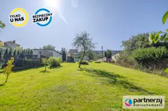 PAN954762 - zdjęcie nr 3