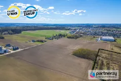 PAN915713 - zdjęcie nr 1