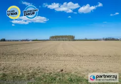 PAN915713 - zdjęcie nr 3