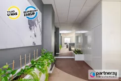 PAN521058 - zdjęcie nr 0