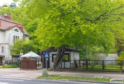 PAN663561 - zdjęcie nr 0