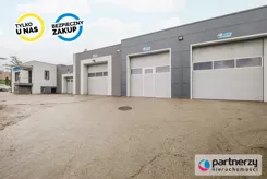 PAN486850 - zdjęcie nr 1