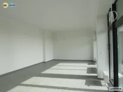 PAN979469 - zdjęcie nr 4