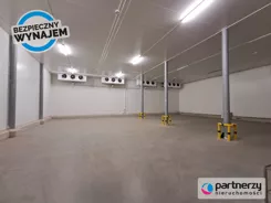 PAN861415 - zdjęcie nr 1