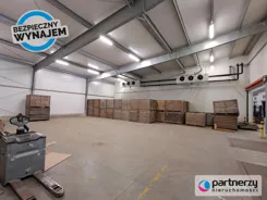 PAN861415 - zdjęcie nr 2