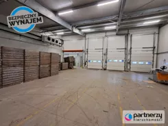 PAN861415 - zdjęcie nr 4