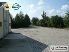 PAN266468 - zdjęcie nr 0