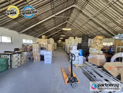 PAN266468 - zdjęcie nr 4