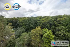 PAN775167 - zdjęcie nr 3