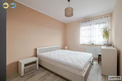 PAN693664 - zdjęcie nr 5