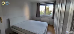 PAN654207 - zdjęcie nr 4