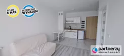 PAN682475 - zdjęcie nr 2