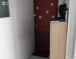 PAN921693 - zdjęcie nr 0