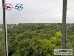 PAN939276 - zdjęcie nr 3