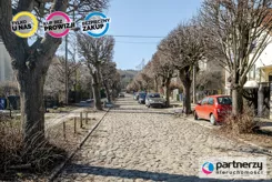 PAN546449 - zdjęcie nr 1