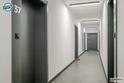 PAN884181 - zdjęcie nr 4