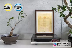 PAN312526 - zdjęcie nr 2