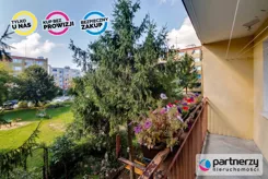 PAN762995 - zdjęcie nr 4
