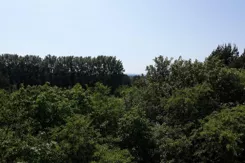 Nowe Hallerowo - zdjęcie nr 5