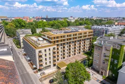 Czysta 4 - zdjęcie nr 3