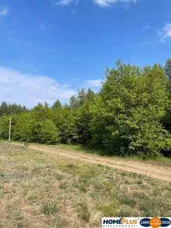 23520/78/OGS - zdjęcie nr 1
