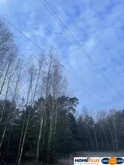 23524/78/OGS - zdjęcie nr 4