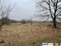 23353/78/OGS - zdjęcie nr 0