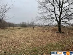 23353/78/OGS - zdjęcie nr 2