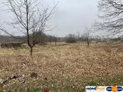 23353/78/OGS - zdjęcie nr 3