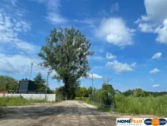 23608/78/OGS - zdjęcie nr 2